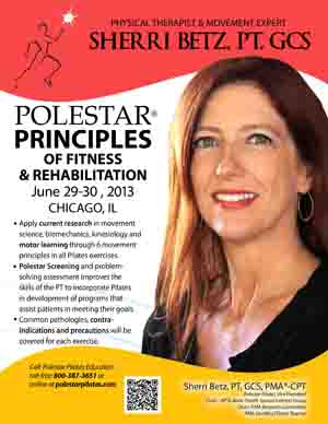 Polestar Principles Chicago Flyer